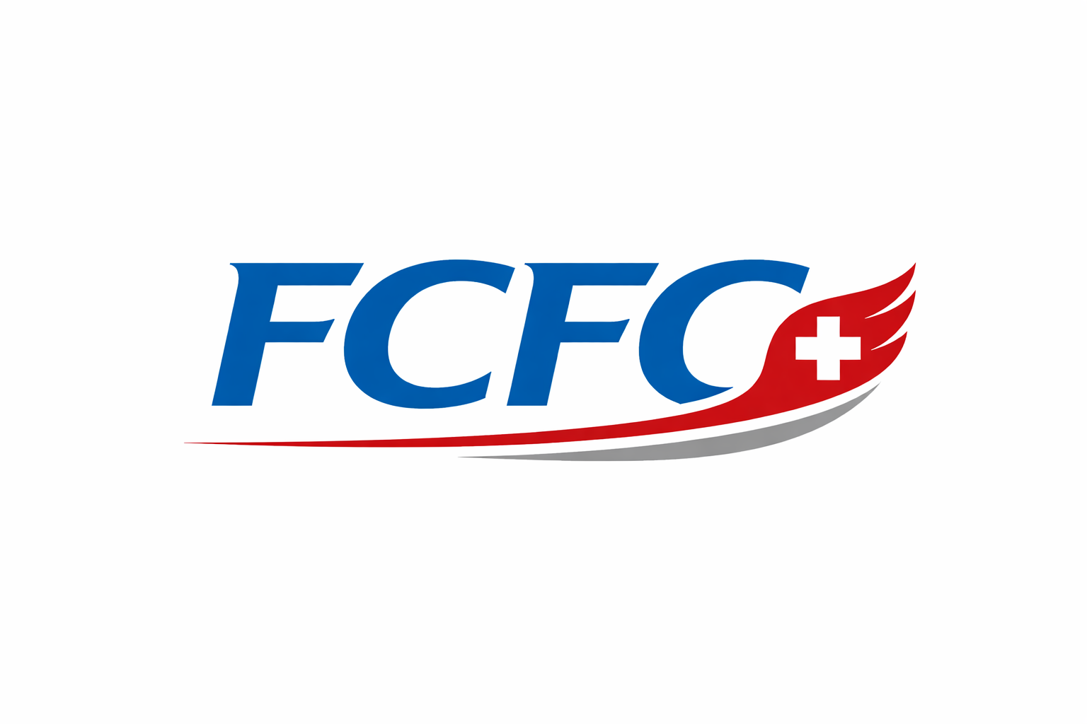 FCFC — FC Finance Consulting GmbH